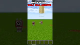 Which🤔Armor WOLF WILL SURVIVE#minecraft#memes#shorts