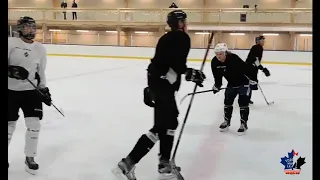 Toronto Maple Leafs - William Nylander - skating & video games - Oct 22, 2018, Jan 28 & Feb 8, 2019