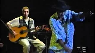 Wilson Aragão - Capim Guiné 1999