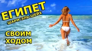 Летим в Шарм Эль Шейх своим ходом! Египет дешевле чем горящий тур!