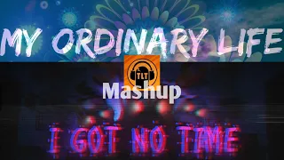 Life got no time | My ordinary life // I got no time TLT mashup lyric video 2024