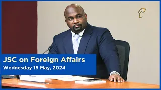 15th Meeting - JSC Foreign Affairs - May 15, 2024 - Cultural Diplomacy