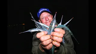 Frankston Pier Garfish