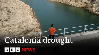 Catalonia: State of emergency declared as region faces worst ever drought | BBC News