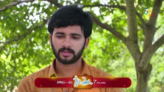 Nenu Sailaja | Promo | 19th November 2019 | ETV Plus