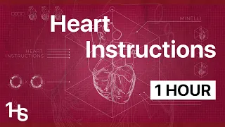 Minelli - Heart Instructions | 1 Hour / O Oră