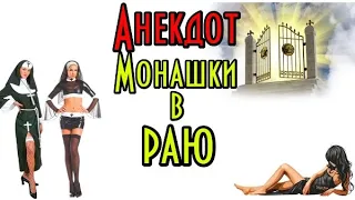 Анекдот про монашек и грехи. Прикольный анекдот.