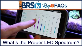 Reef tank lighting schedule - What is the ideal spectrum program for your LED lights? | Reef FAQs