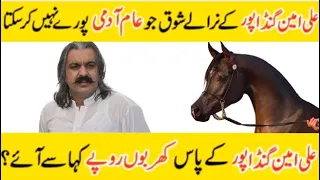 Politician Ali Amin Gandapur Ka Lifestyle]Pasa Kaha Sa Ata Hai ] Mehnge Ghore Kaha Sa Liye#politics