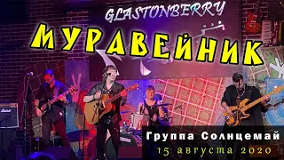 Солнцемай (Петр Погодаев) - Муравейник: концерт памяти Виктора Цоя, 15.08.2020