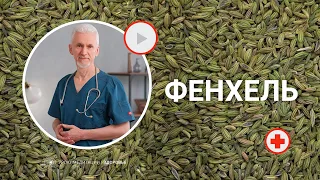 ФЕНХЕЛЬ: аюрведические рецепты для исцеления