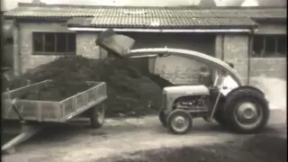 Ferguson tractor, old commercial