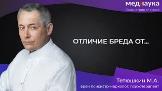 Отличие бреда от…