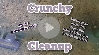 Crunchy Cleanup | #asmr #asmrsounds #asmrvideo #vacuum #sharkvacuum #satisfyingasmr #soothing