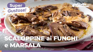 SCALOPPINE di PETTO di POLLO ai FUNGHI PORCINI e MARSALA, un secondo originale, sfizioso e facile 🍗🍷