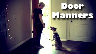 Door Manners for Dogs! - Dog Training