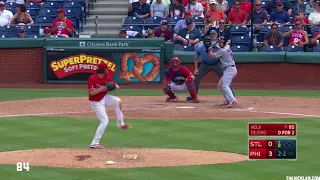 Cardinals Home Run Highlight Reel 2017 (Up to Rally Cat)