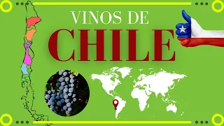 Vinos de CHILE ▶ 🍷[Clima, uvas y regiones vinícolas]