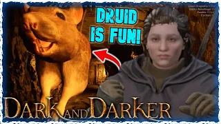 The DRUID EXPERIENCE. Dark and Darker