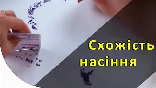 Схожість насіння. Визначення самостійно вдома