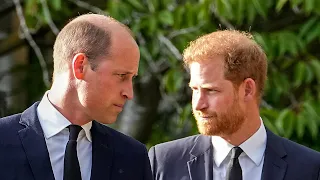 ‘Shattered’: Prince William and Harry reunion ‘would take a long olive branch’