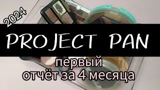 PROJECT PAN 2024 |  Первый Отчёт за 4 Месяца | КАКИЕ РЕЗУЛЬТАТЫ?