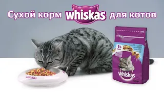 Сухой корм Whiskas