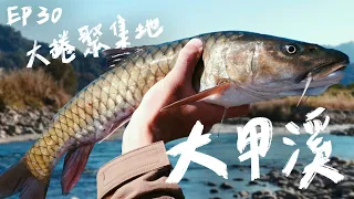 【庫斯比】第30集 寒流裡的大甲溪 卻因捲仔而感受到滿滿的暖意