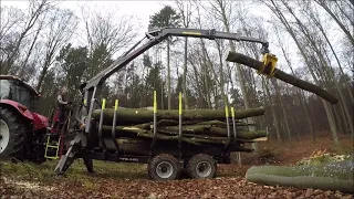 Mit dem Palms H10D 5.85 gehts in den Wald