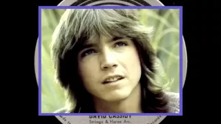 DAVID CASSIDY  "CHERISH"   HD AUDIO  1972