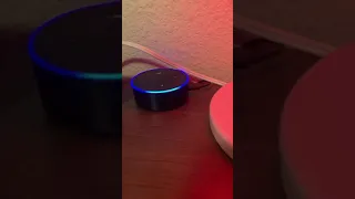 Bullshitting With Alexa
