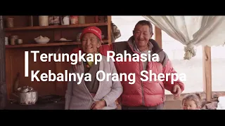 Beginilah Cara Orang Sherpa Bertahan Hidup di Gunung Everest