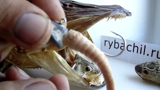 Резина (твистер) на щуку, видео rybachil.ru
