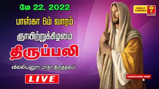 22 May 2022 Tamil Mass | Villianur Lourdes Shrine | Holy Cross Tv | Daily Tv Mass | Today Tv Mass