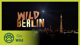 Wild Berlin | Go Wild