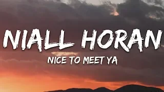 Niall Horan - Nice To Meet Ya (Lyrics)