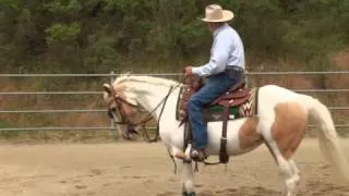 Charles Wilhelm - Introduction to working your horse with the mechanical cow