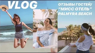 VLOG // ОТЗЫВЫ ГОСТЕЙ PALMYRA BEACH // "УБОРКА", КРЕВЕТКИ, АНИМАЦИЯ