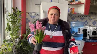 OLGA FACE RAVAGII ACASĂ LA ANCA DE LA STREHAIA !