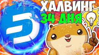 ХАЛВИНГ DASH ПРИВЕДЁТ К СИЛЬНОМУ РОСТУ ЧЕРЕЗ 34 ДНЯ! БУДЬ ГОТОВ К ЭТОМУ ! ДЭШ