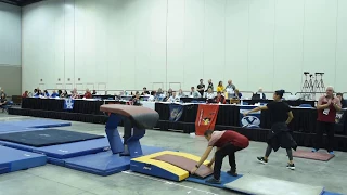 Kylie Dickson 2017 JO Nationals Level 10 Vault