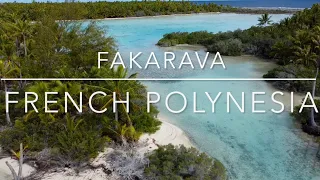 South Pacific Coral reef “Fakarava French Polynesia Scuba diving Paradise”