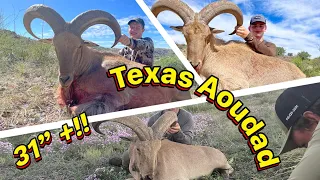 THREE 30inch+ AOUDAD!! BOONE & Crocket West Texas Aoudad 2023.-Double Lunging Outdoors Tv.