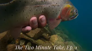 The Two Minute Take on Fly Fishing with Trout Soup, Ep. 1