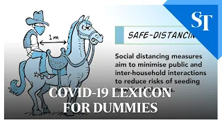 Covid-19 lexicon for dummies | The Straits Times