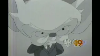 Pinky and The Brain Kids WB 49 Buffalo Promo