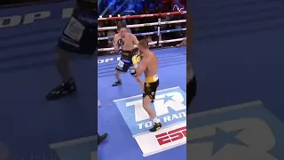 Vasyl Lomachenko Destruction Of Masayoshi Nakatani