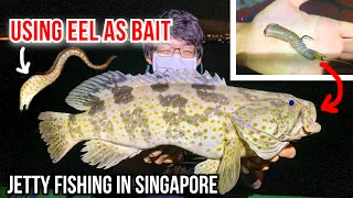 Using Eels as Bait | Fishing at Bedok Jetty | Grouper Fishing in Singapore