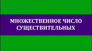 Множественное число существительных в нидерландском языке.