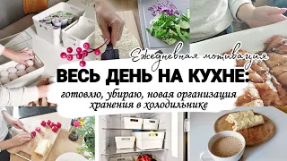 Весь день на кухне: готовлю,  убираю. НОВАЯ организация хранения в холодильнике